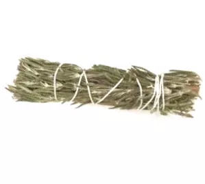 3-4" Rosemary Smudge - Click Image to Close